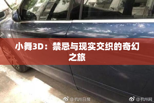 小舞3D：禁忌与现实交织的奇幻之旅