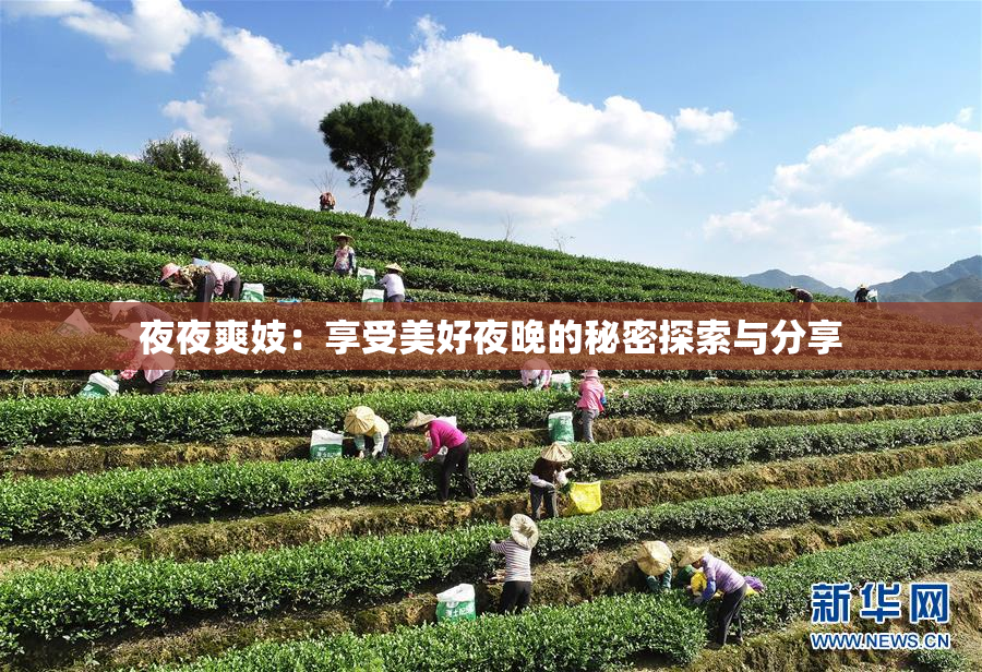 夜夜爽妓：享受美好夜晚的秘密探索与分享