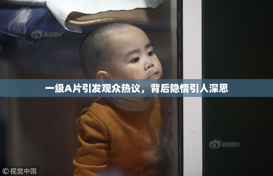 一级A片引发观众热议，背后隐情引人深思