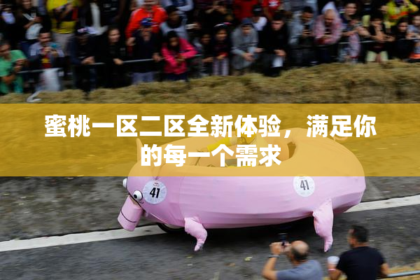 蜜桃一区二区全新体验，满足你的每一个需求