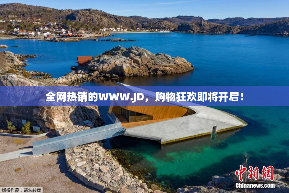 全网热销的WWW.JD，购物狂欢即将开启！
