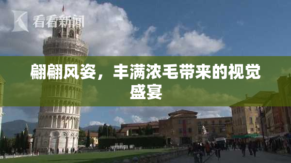 翩翩风姿，丰满浓毛带来的视觉盛宴