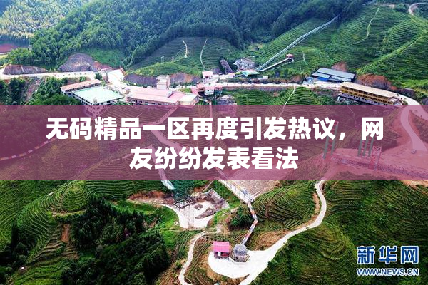无码精品一区再度引发热议，网友纷纷发表看法