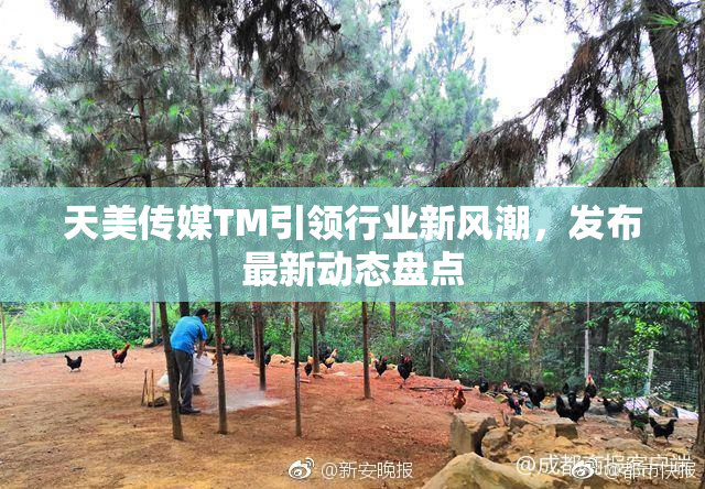 天美传媒TM引领行业新风潮，发布最新动态盘点