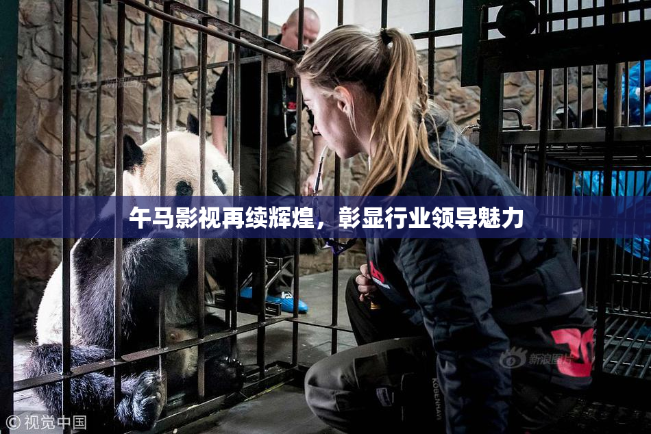 午马影视再续辉煌，彰显行业领导魅力