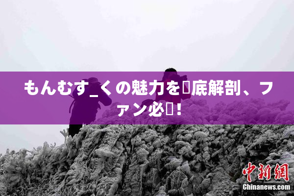 もんむす_くの魅力を徹底解剖、ファン必見！