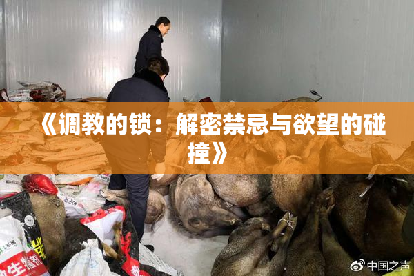 《调教的锁：解密禁忌与欲望的碰撞》