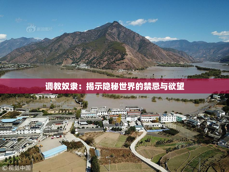 调教奴隶：揭示隐秘世界的禁忌与欲望