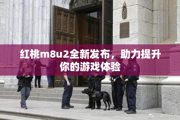 红桃m8u2全新发布，助力提升你的游戏体验