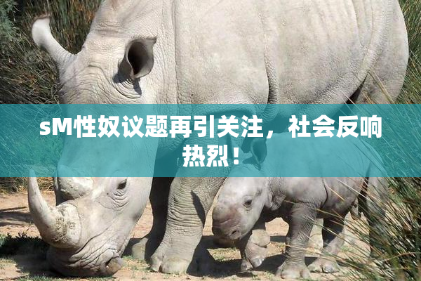 sM性奴议题再引关注，社会反响热烈！