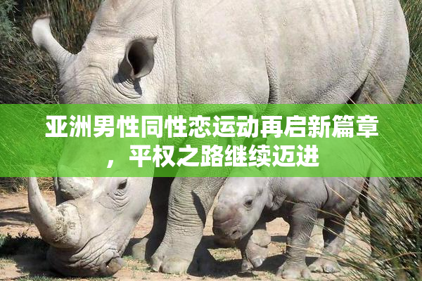 亚洲男性同性恋运动再启新篇章，平权之路继续迈进