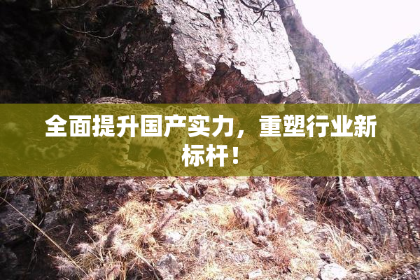 全面提升国产实力，重塑行业新标杆！