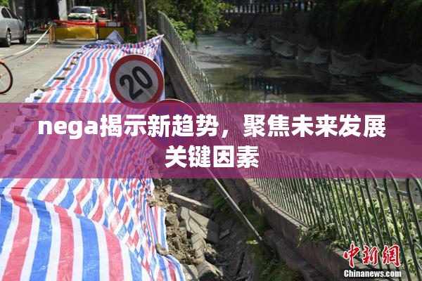 nega揭示新趋势，聚焦未来发展关键因素