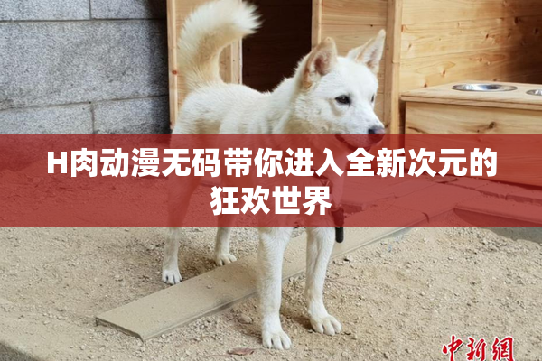 H肉动漫无码带你进入全新次元的狂欢世界