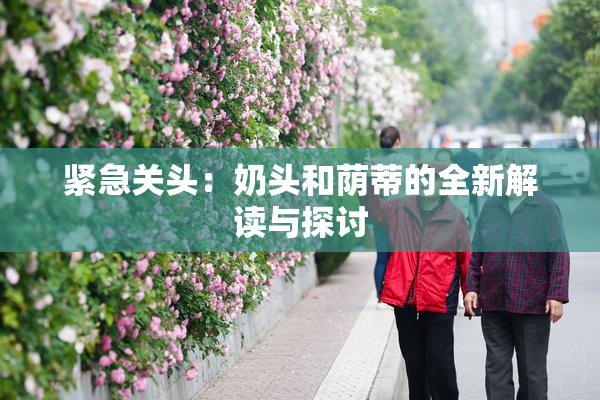 紧急关头：奶头和荫蒂的全新解读与探讨