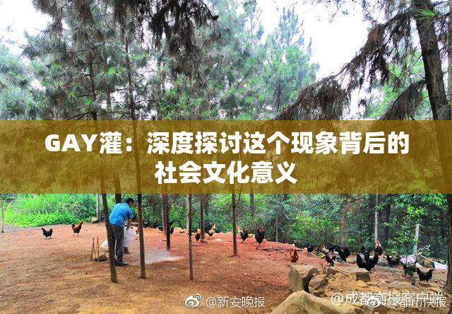 GAY灌：深度探讨这个现象背后的社会文化意义