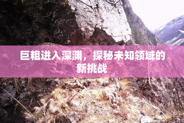 巨粗进入深渊，探秘未知领域的新挑战