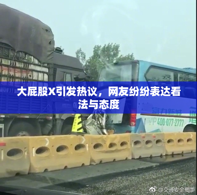 大屁股X引发热议，网友纷纷表达看法与态度