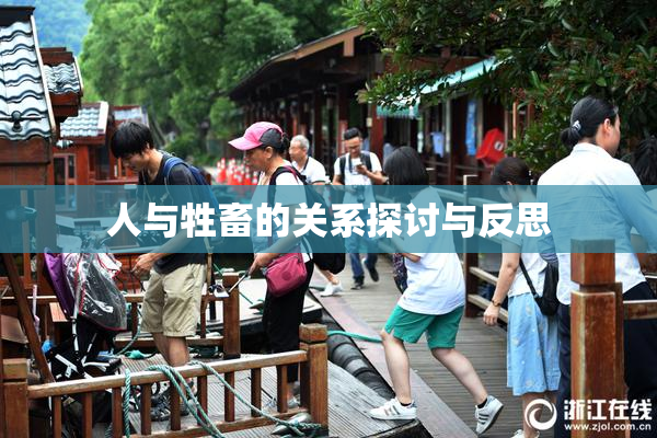 人与牲畜的关系探讨与反思