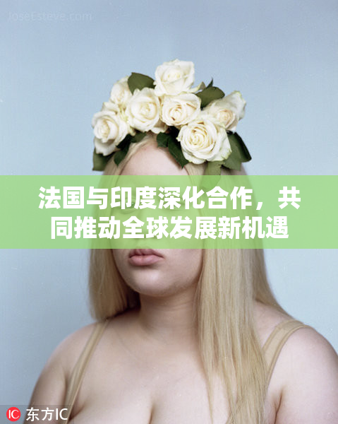 法国与印度深化合作，共同推动全球发展新机遇