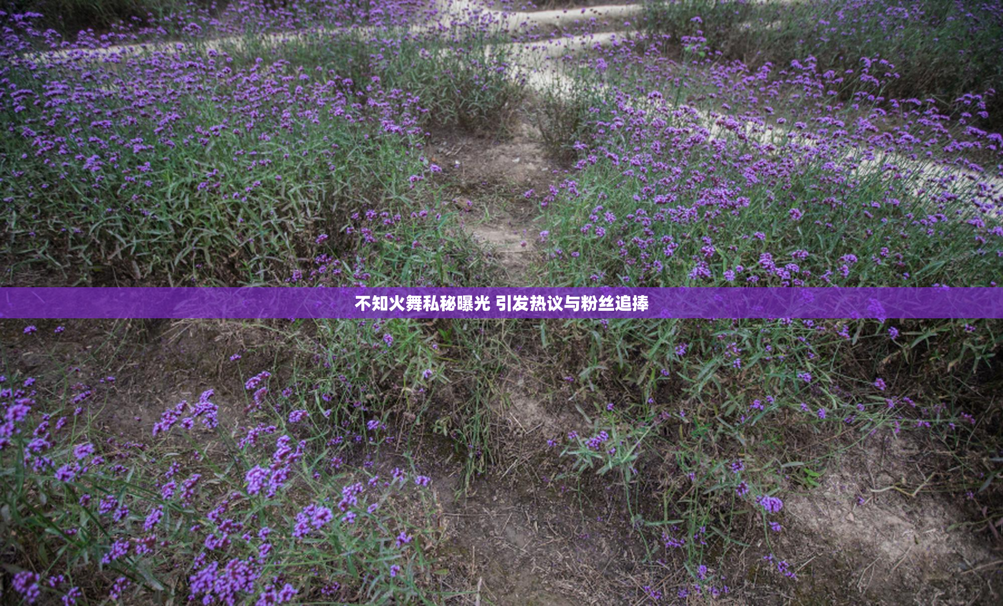 不知火舞私秘曝光 引发热议与粉丝追捧