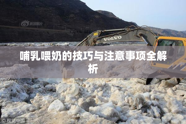 哺乳喂奶的技巧与注意事项全解析