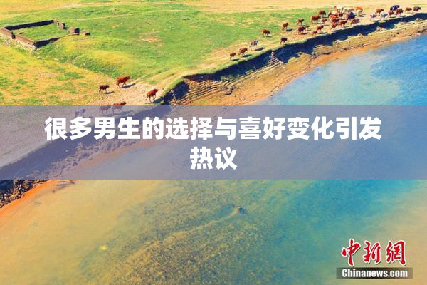 很多男生的选择与喜好变化引发热议