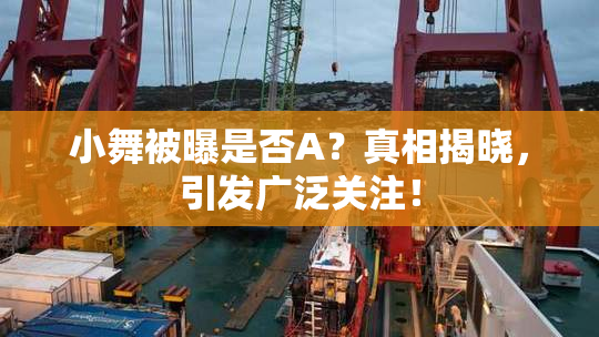 小舞被曝是否A？真相揭晓，引发广泛关注！