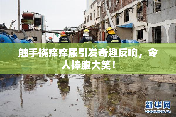 触手挠痒痒尿引发奇趣反响，令人捧腹大笑！