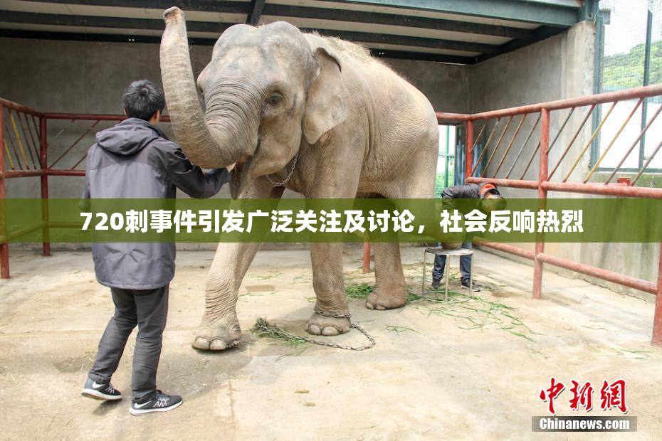 720刺事件引发广泛关注及讨论，社会反响热烈