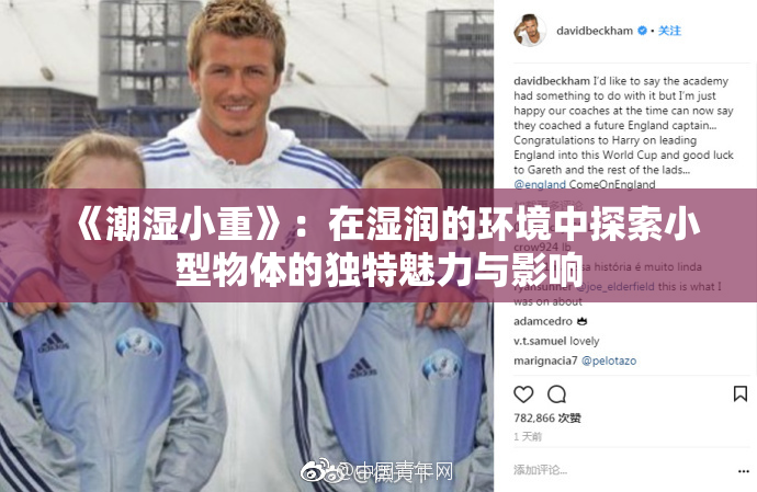 《潮湿小重》：在湿润的环境中探索小型物体的独特魅力与影响