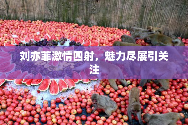 刘亦菲激情四射，魅力尽展引关注