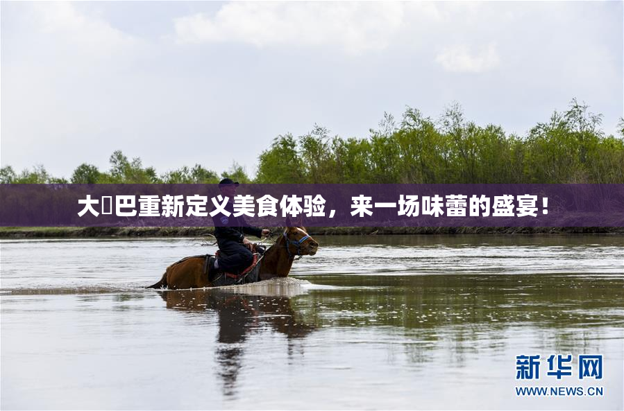 大鳮巴重新定义美食体验，来一场味蕾的盛宴！