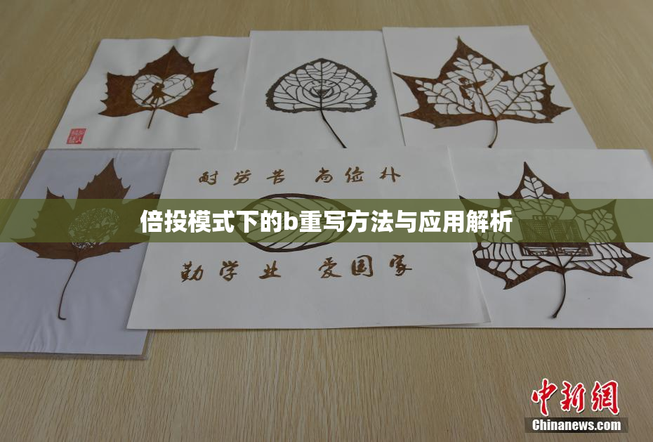 倍投模式下的b重写方法与应用解析