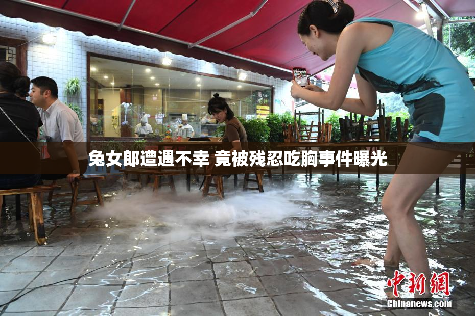 兔女郎遭遇不幸 竟被残忍吃胸事件曝光