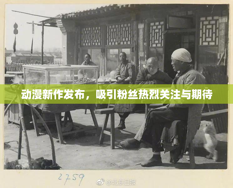 动漫新作发布，吸引粉丝热烈关注与期待