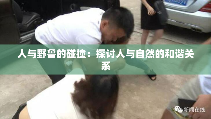 人与野鲁的碰撞：探讨人与自然的和谐关系
