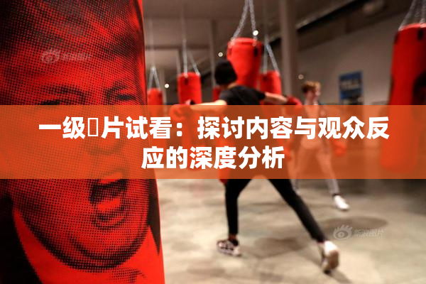 一级婬片试看：探讨内容与观众反应的深度分析