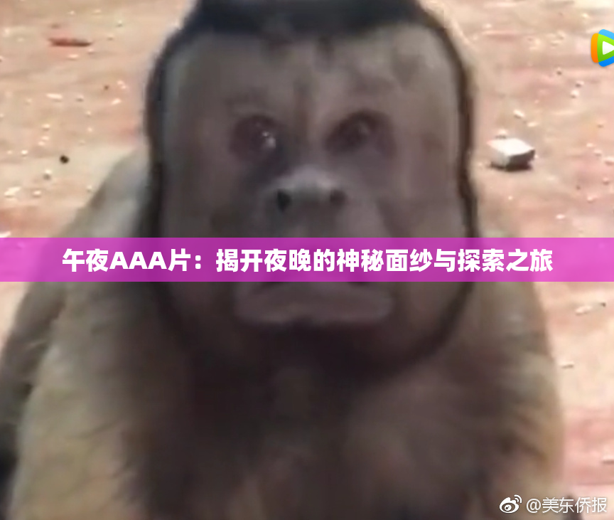 午夜AAA片：揭开夜晚的神秘面纱与探索之旅