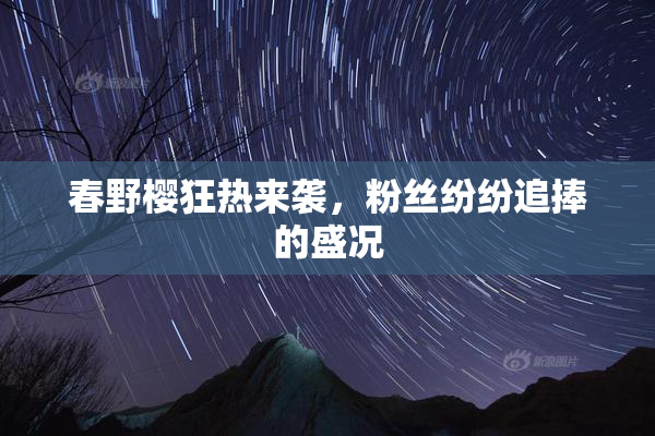 春野樱狂热来袭，粉丝纷纷追捧的盛况