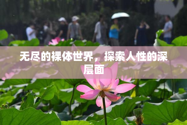 无尽的裸体世界，探索人性的深层面