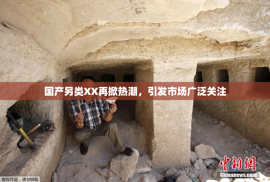 国产另类XX再掀热潮，引发市场广泛关注