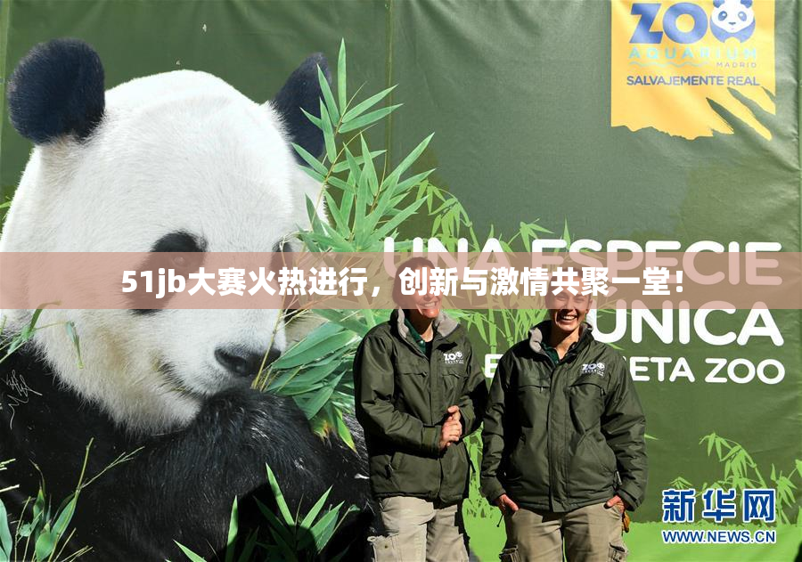 51jb大赛火热进行，创新与激情共聚一堂！