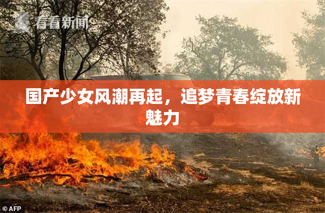 国产少女风潮再起，追梦青春绽放新魅力