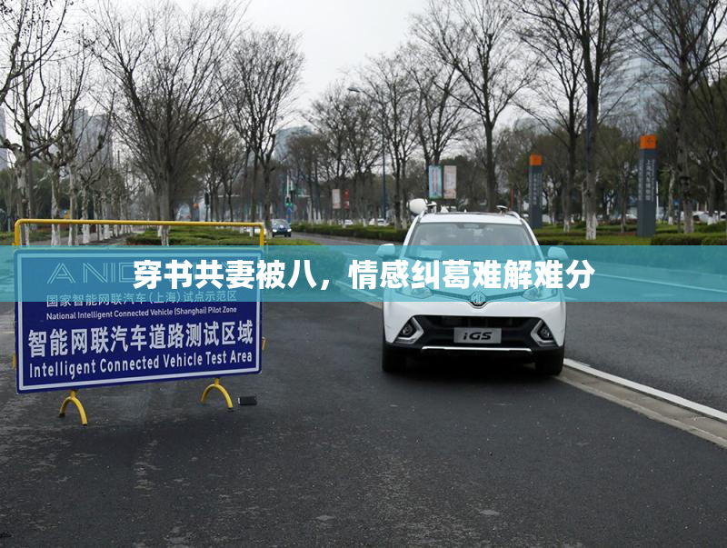 穿书共妻被八，情感纠葛难解难分