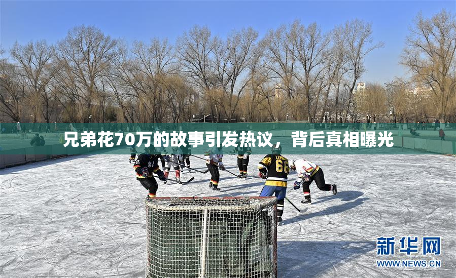 兄弟花70万的故事引发热议，背后真相曝光