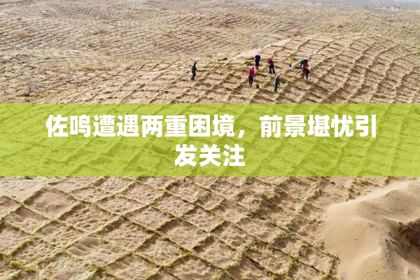 佐鸣遭遇两重困境，前景堪忧引发关注
