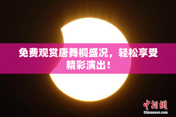 免费观赏唐舞桐盛况，轻松享受精彩演出！