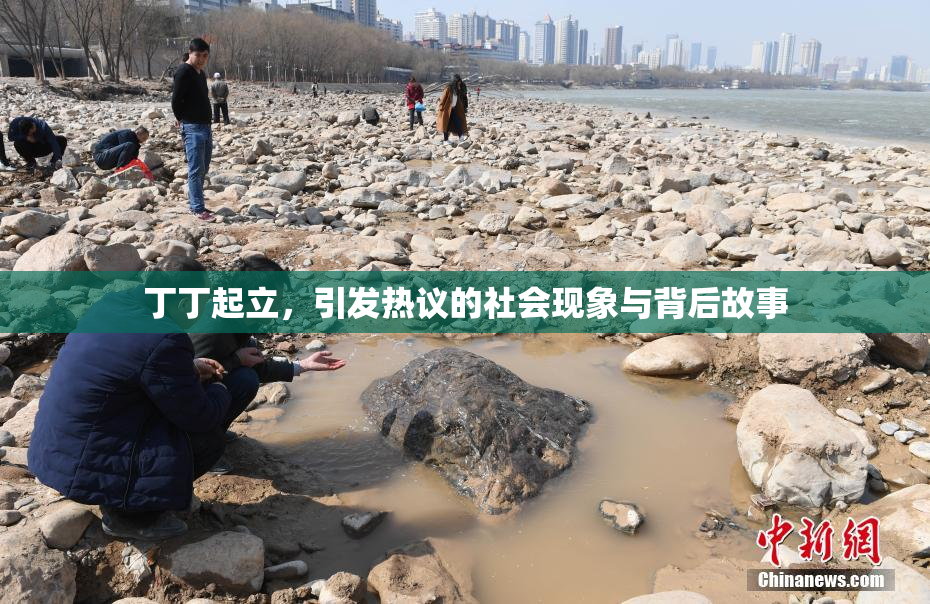 丁丁起立，引发热议的社会现象与背后故事