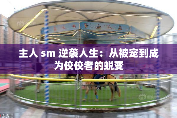 主人 sm 逆袭人生：从被宠到成为佼佼者的蜕变